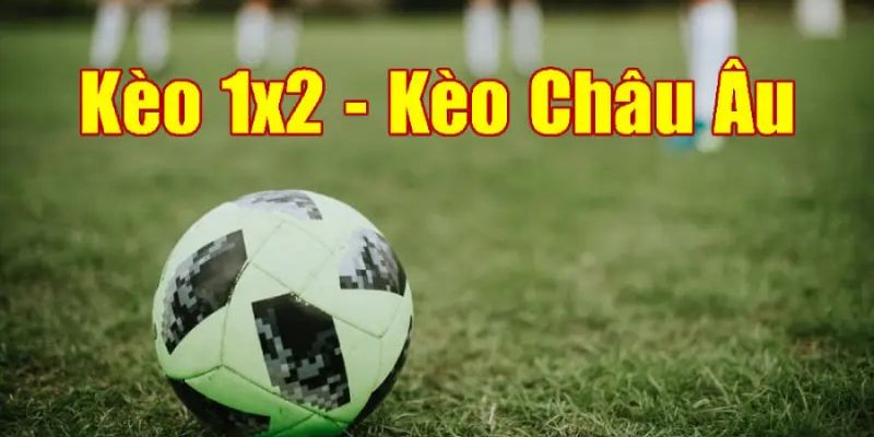 Thông tin giới thiệu về dạng cược 1x2